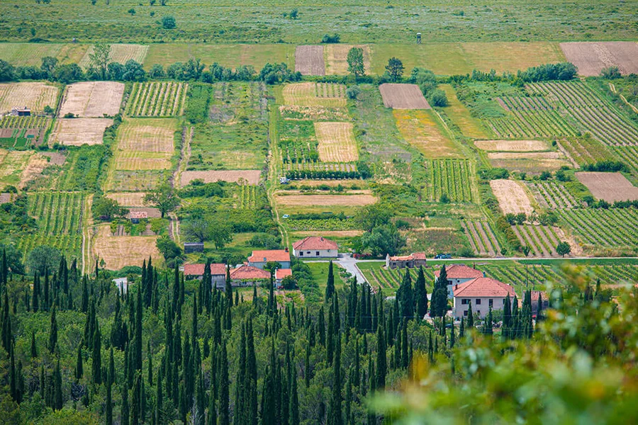 Cultivated fields and stone villages of the Konavle valley