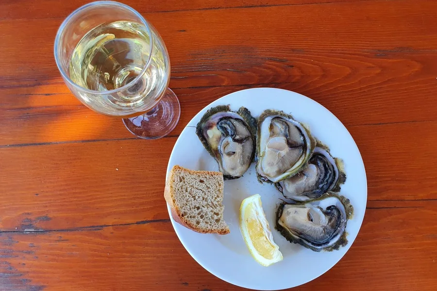Fresh Ston oysters served with local white wine on the Peljesac peninsula