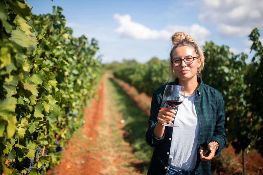 Wine tasting among the vines on the Pelješac Peninsula