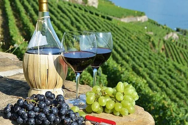 Wine and grapes at a Pelješac Peninsula vineyard