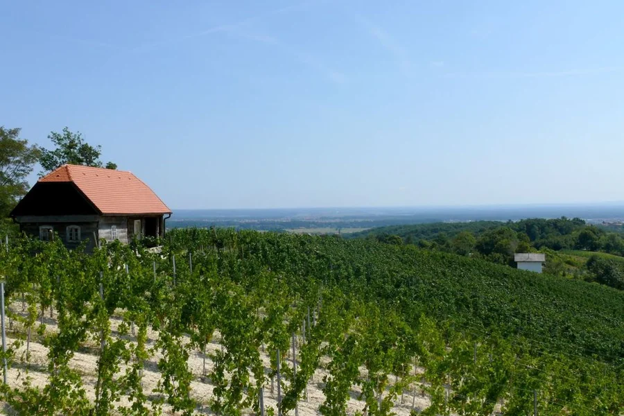 Traditional wine cottage overlooking the Plesivica vineyards