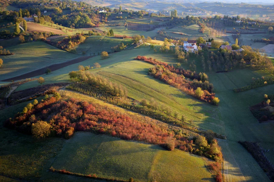 Rolling vineyards and autumn fields along the Plesivica wine road