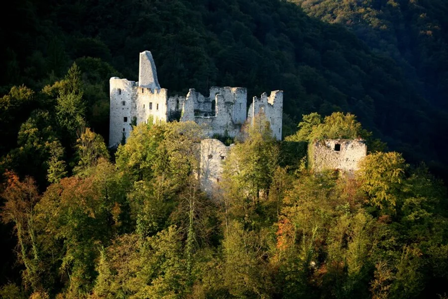 The ruins of Samobor castle among the trees above the town