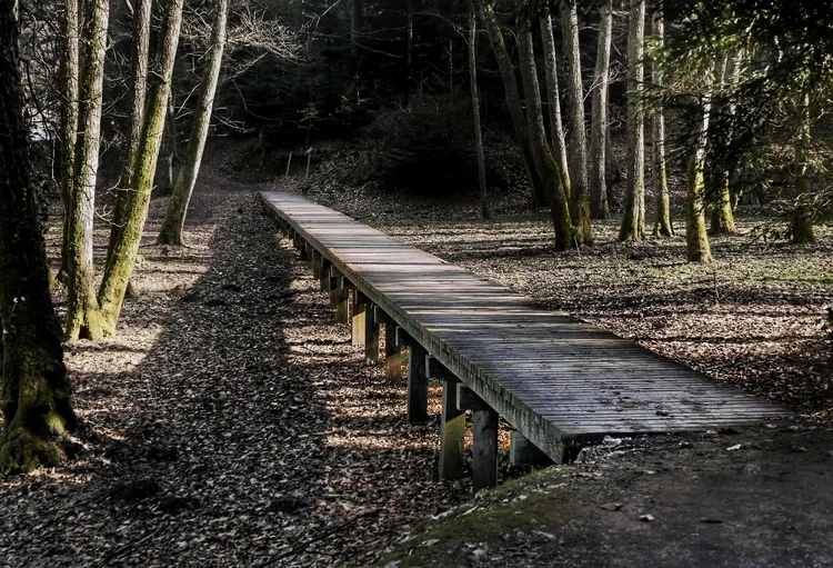 Wooden bridge in the forest near Trakošćan Castle