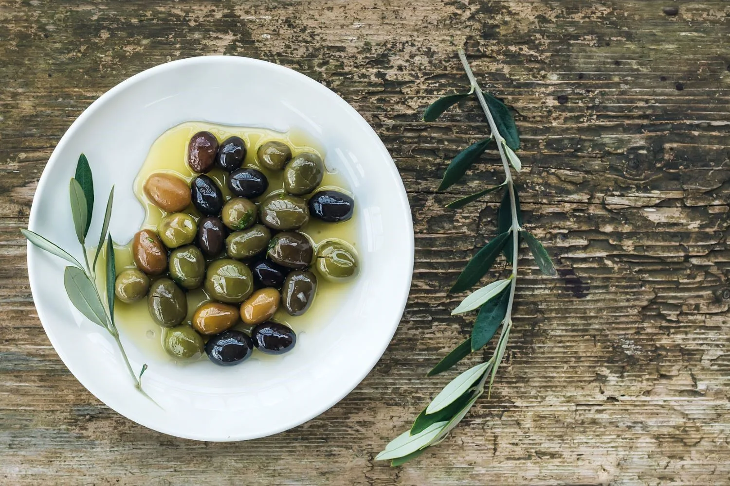 Croatian olives and olive oil, Explore and Taste Croatia food tour