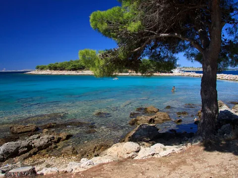 A quiet pine-shaded cove on the Croatian coast