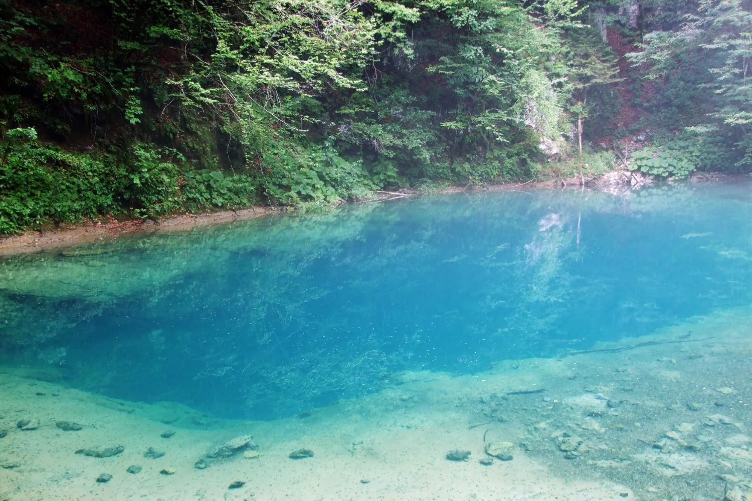 The turquoise karst spring of the Kupa River, Risnjak National Park